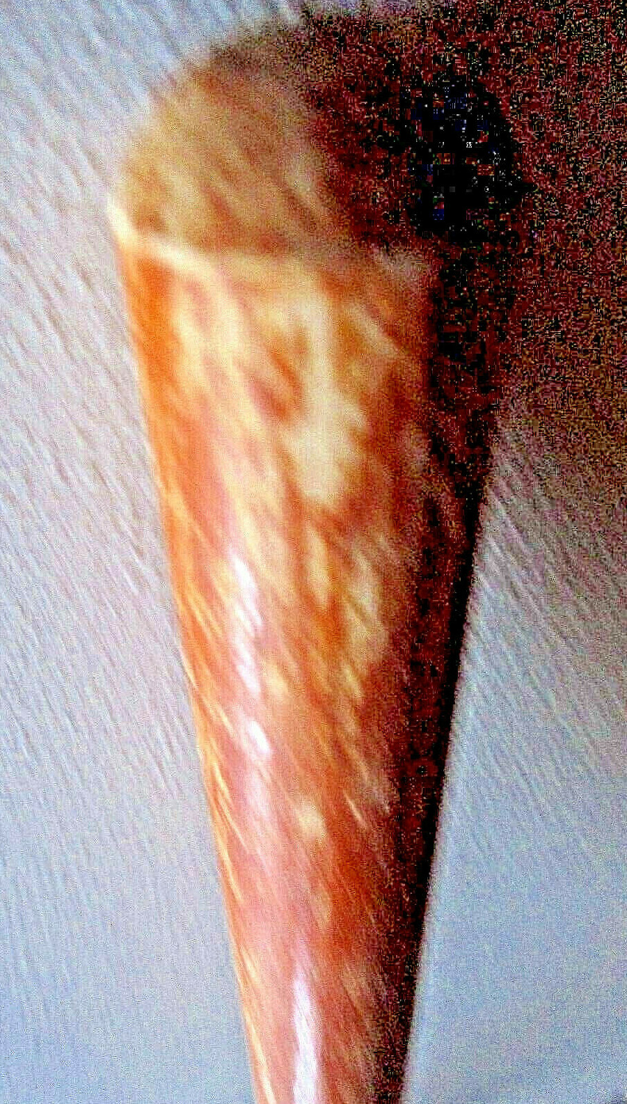 17.5″ Vintage WOOD HANDLE Commercial Metal Head POTATO MASHER Restaurant Decor