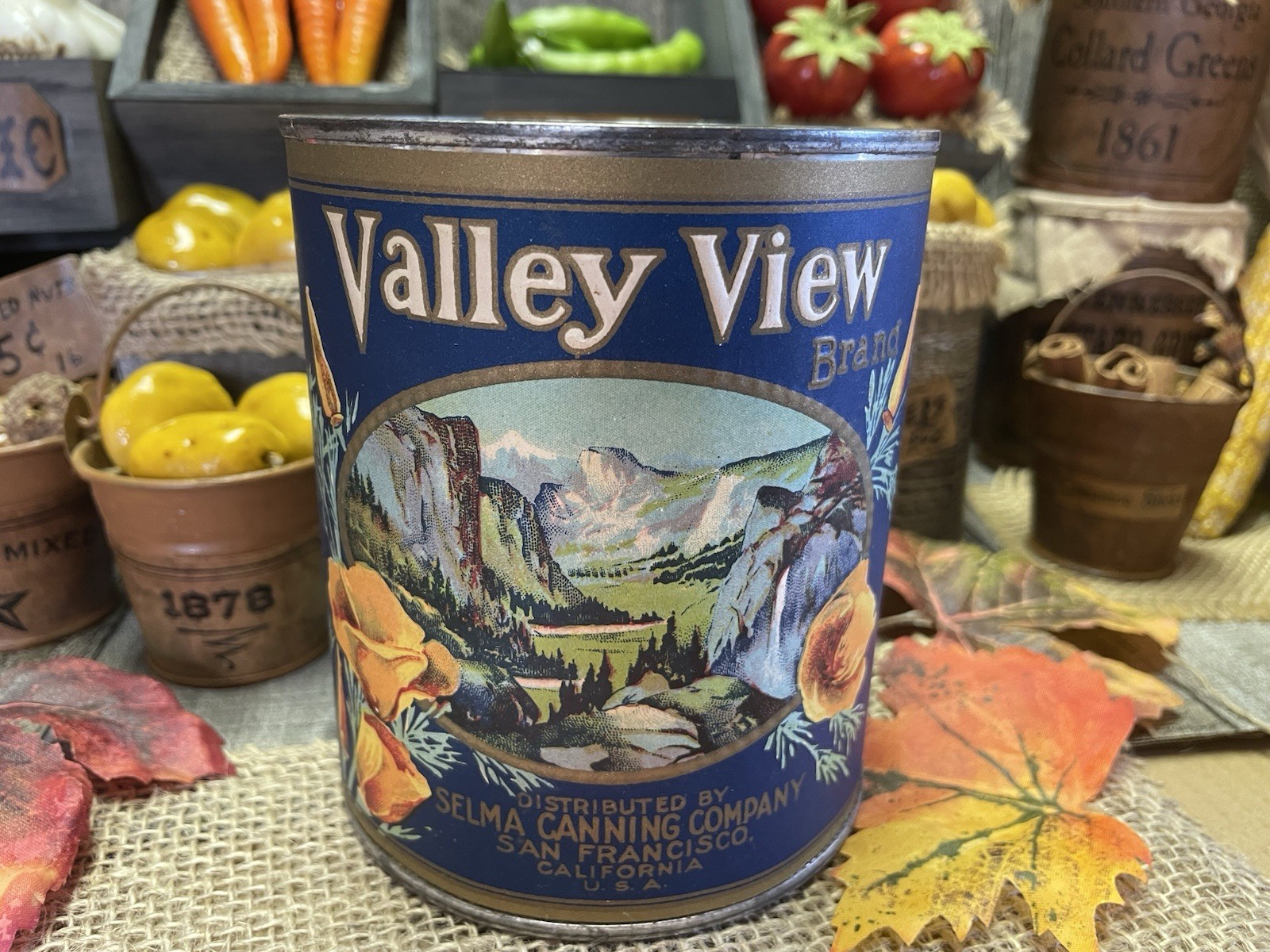 VTG VALLEY VIEW APRICOTS TIN CAN PRIMITIVE COUNTRY STORE DISPLAY FARMHOUSE PROP