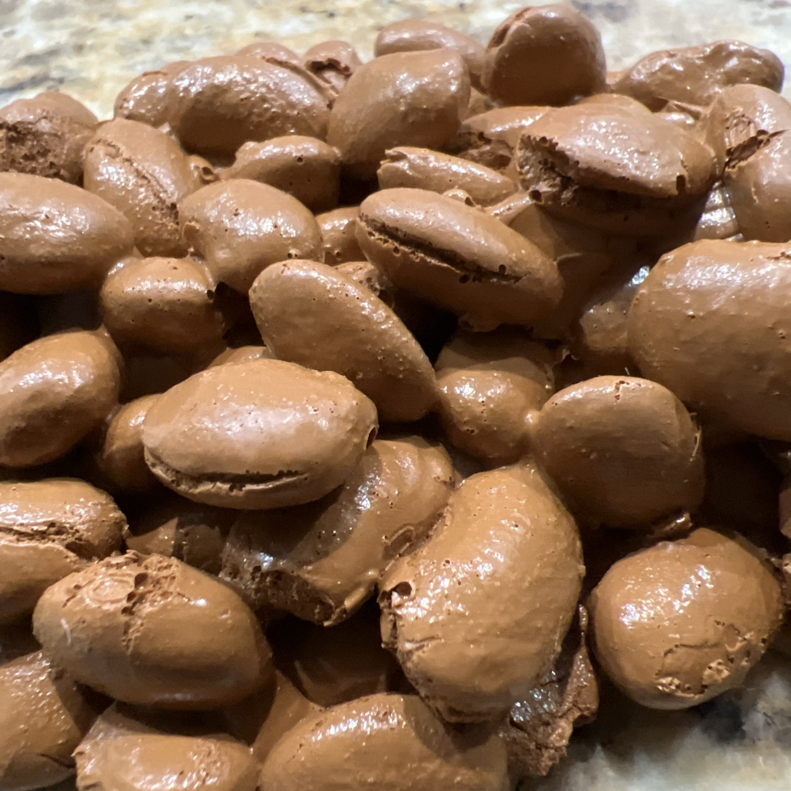 HEALTH EDCO FAUX FOOD LOOSE COFFEE BEANS EDUCATIONAL PROP DISPLAY FREE SHIP