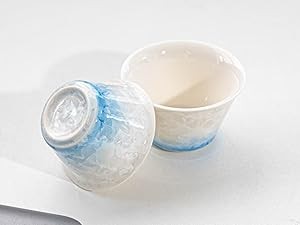 Hermit Life Chinese Travel Tea Set, Portable Ceramic Teapot for One to Two,