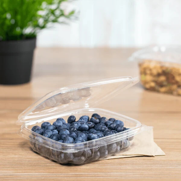 Karat 8oz PET Plastic Hinged Deli Container – 200 ct, FP-HDC8