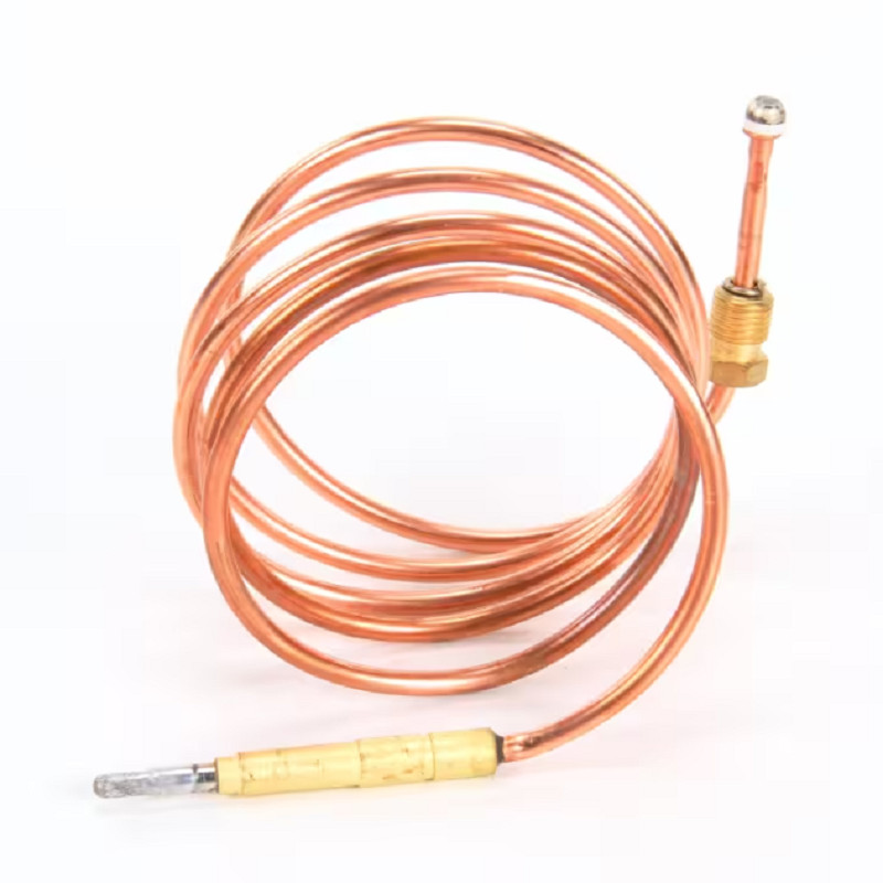 Electrolux Professional 0522-0200200 Thermocouple for Oven M9x1 L120 CM