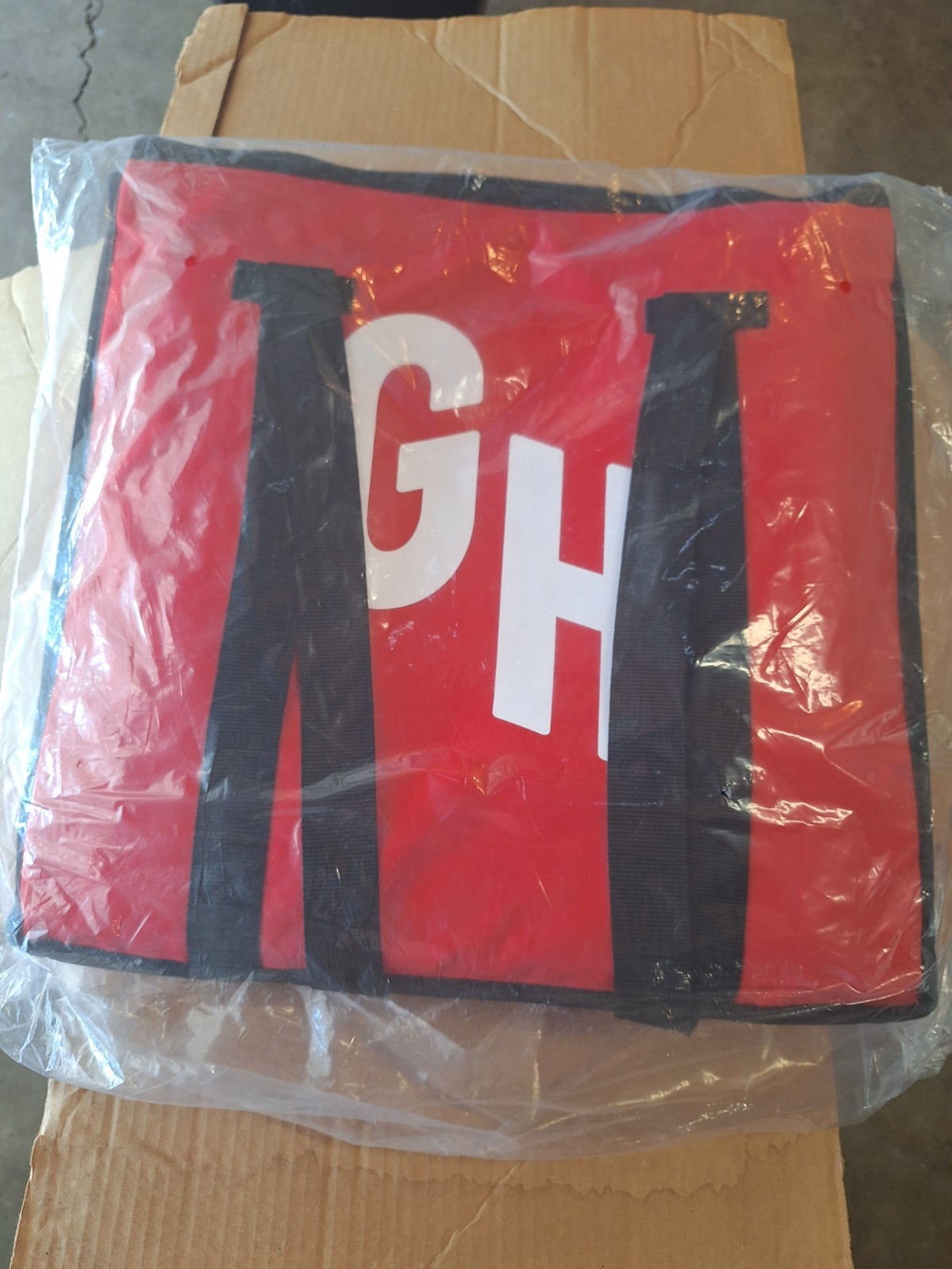 Two Grubhub Insulated Delivery Bags – Food Bag & Pizza Bag – GH Logo