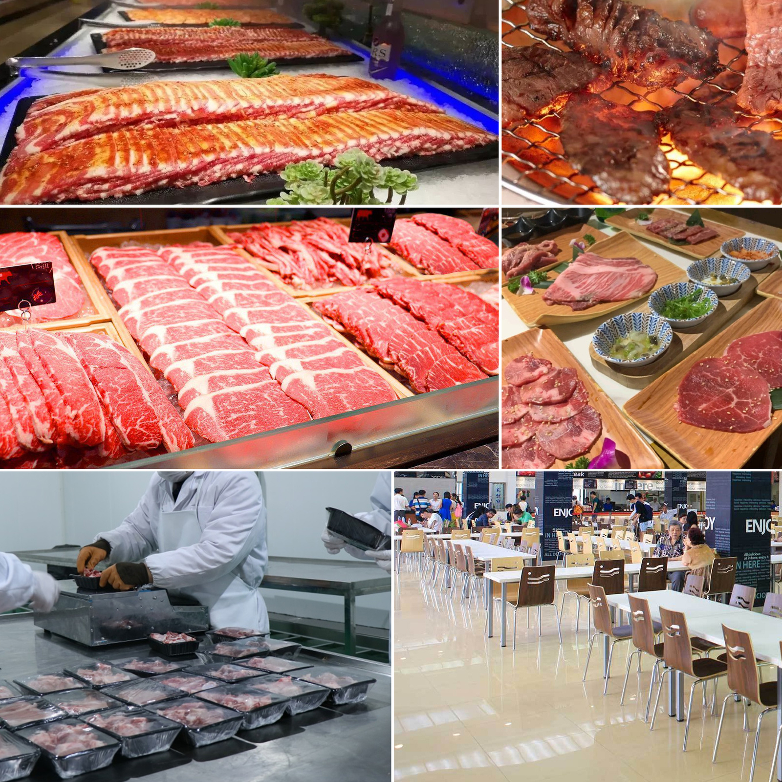 110V QE Meat Cutting Machine Meat Cutter Slicer with 5mm Blade 500KG/H Output
