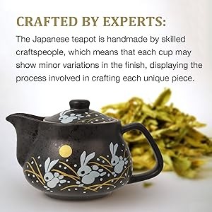 10oz Cat kyusu Kutani Yaki(ware) Japanese CeramicTeapot with Removable Infuser,