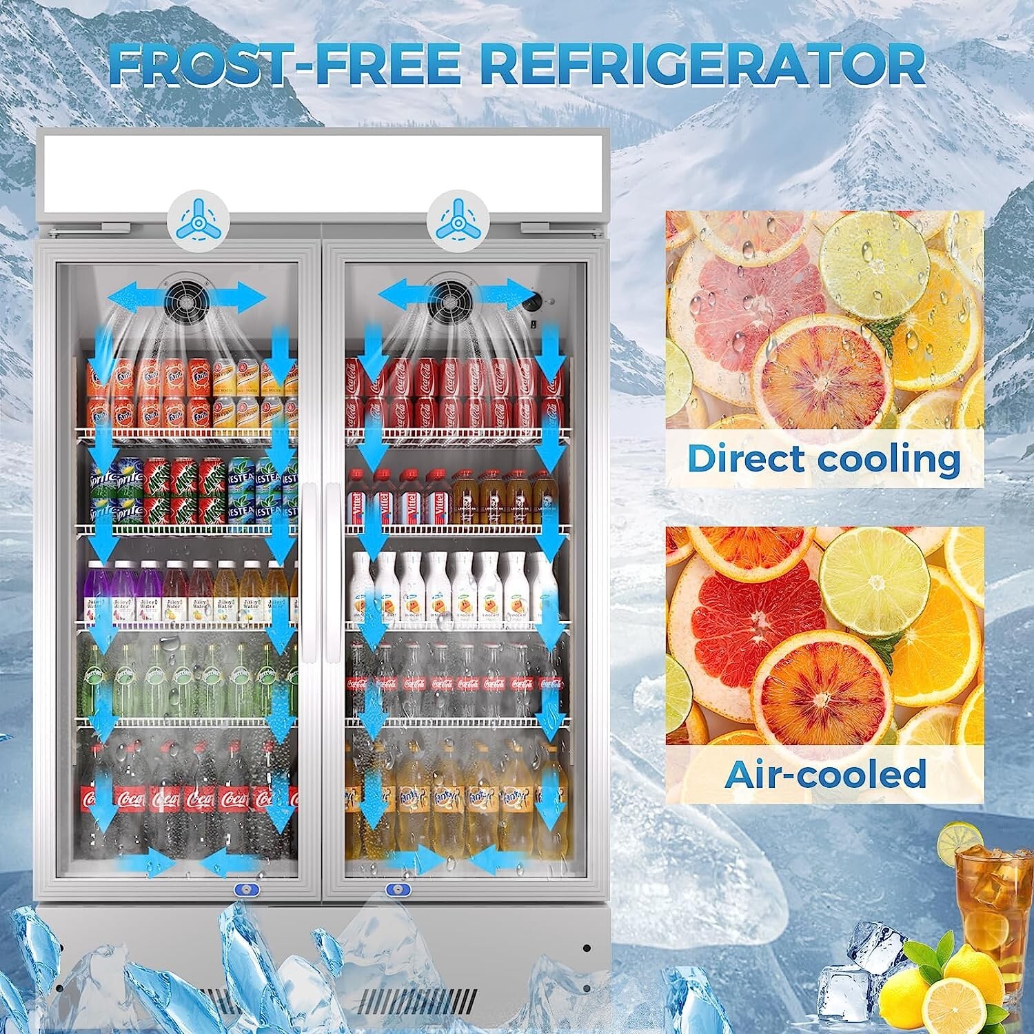 Commercial 2 Glass Door Cooler Refrigerator Display Merchandiser Restaurant Bar