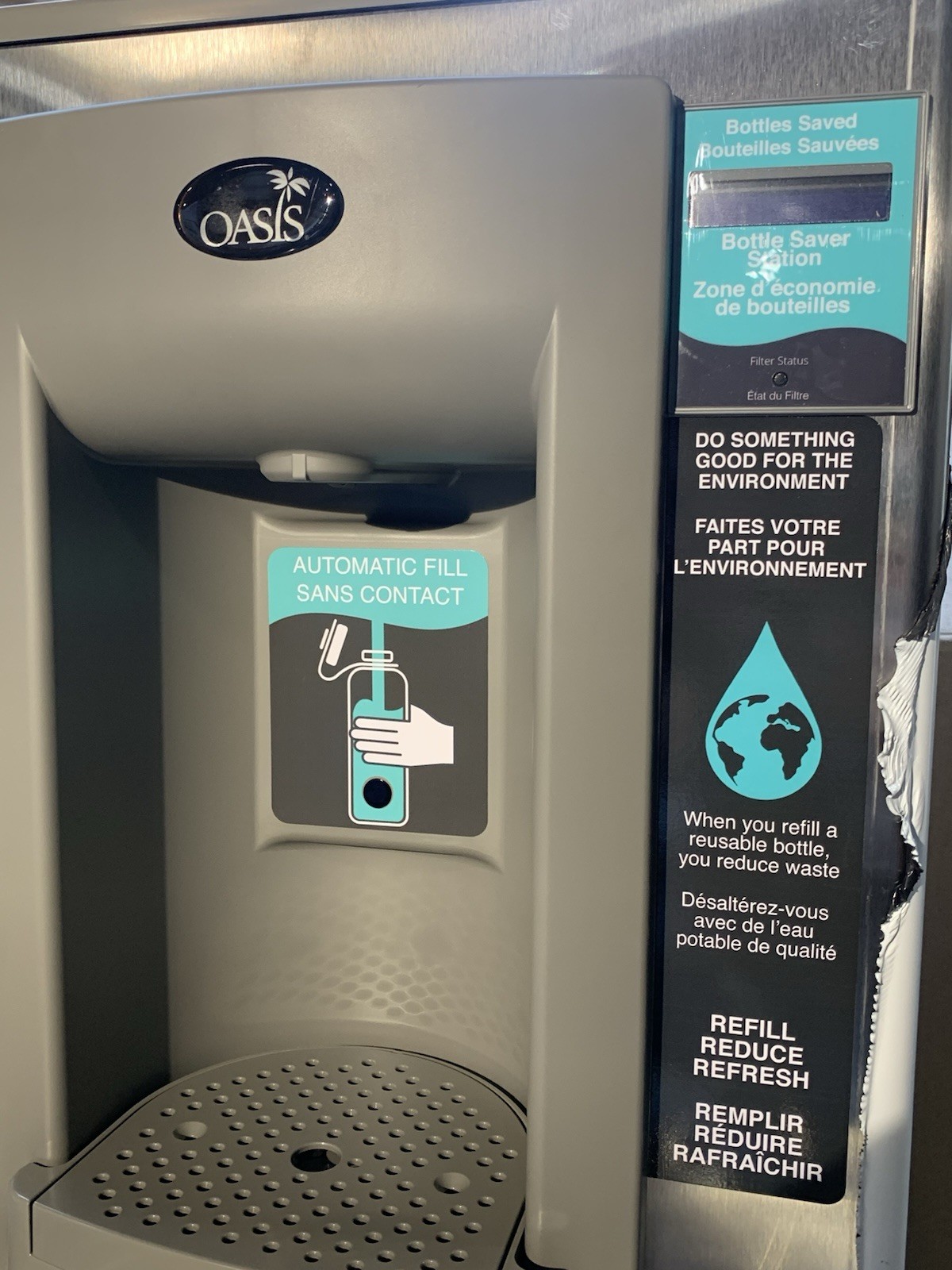 Oasis Stainless Steel Refrigerated Drinking Fountain and Touchless Bottle Filler