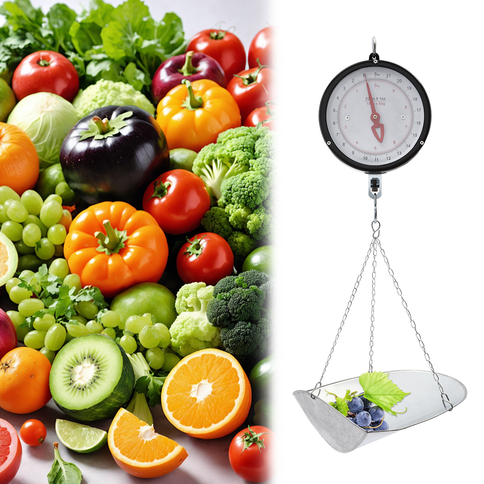 Double-Sided Dial Hanging Scale 10kg/22lbs for Home and Business Use