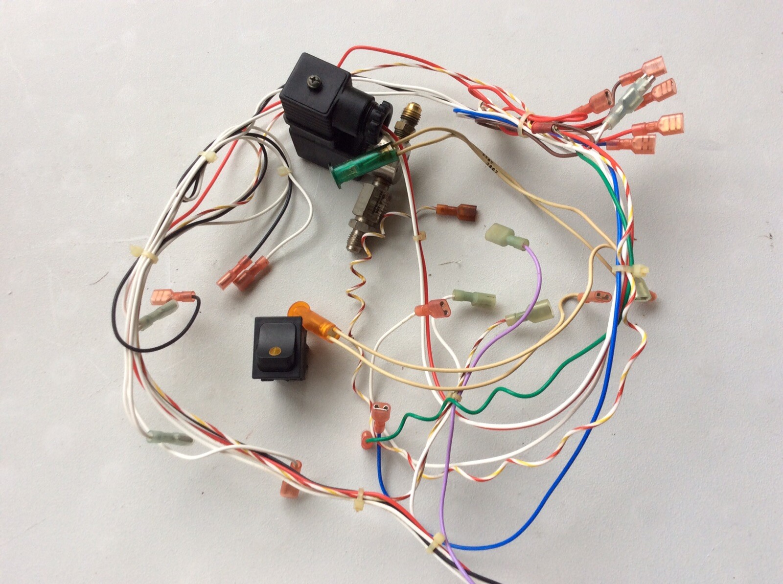ASTRA STS1800 Steamer Wiring Harness/Fluid Control Valve and Ignition Switch