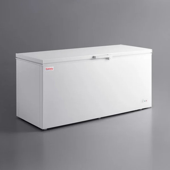 Long Large Commercial Industrial Solid Top Chest Freezer | Frozen Goods Business