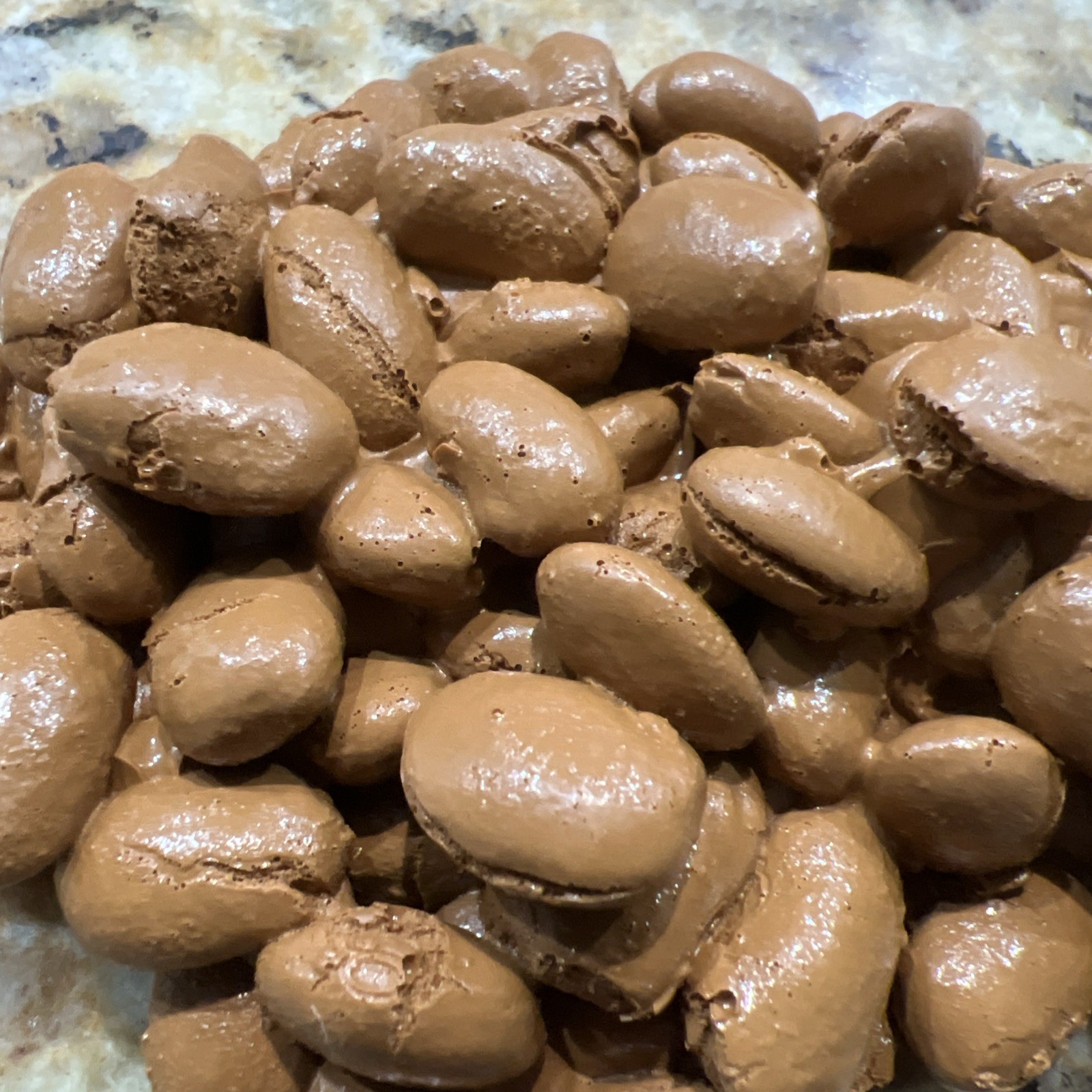 HEALTH EDCO FAUX FOOD LOOSE COFFEE BEANS EDUCATIONAL PROP DISPLAY FREE SHIP
