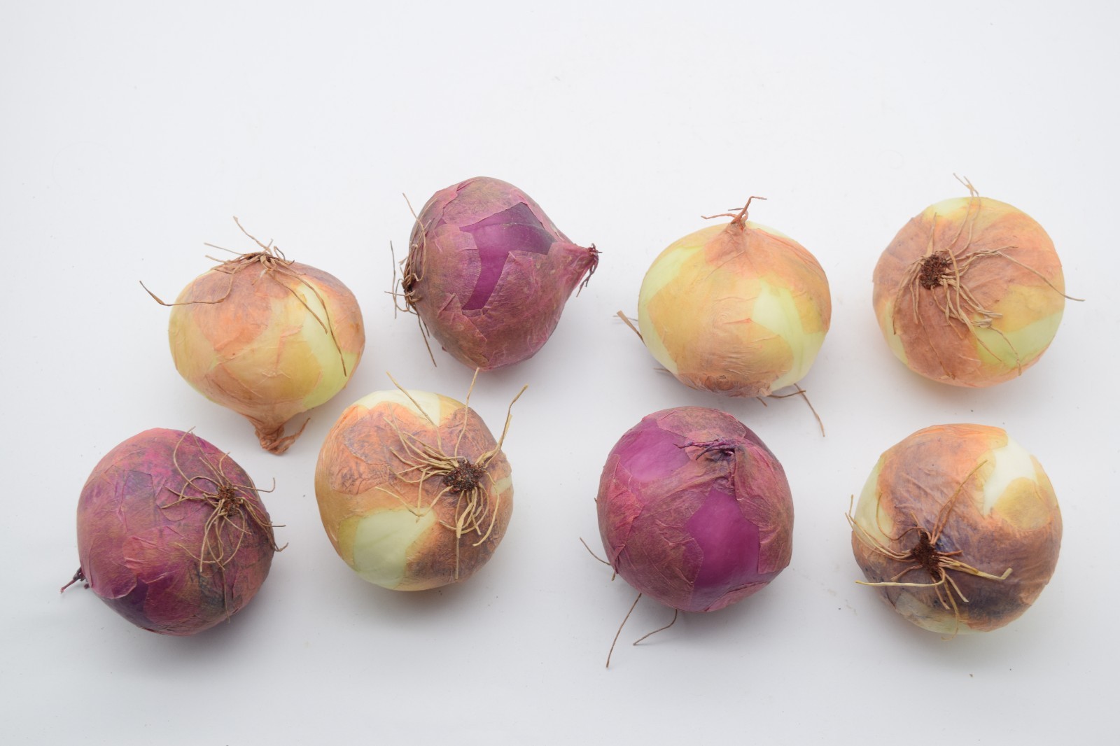 Artificial Fake Food Vegetable Produce Filler Onion Display Prop Lot of 8