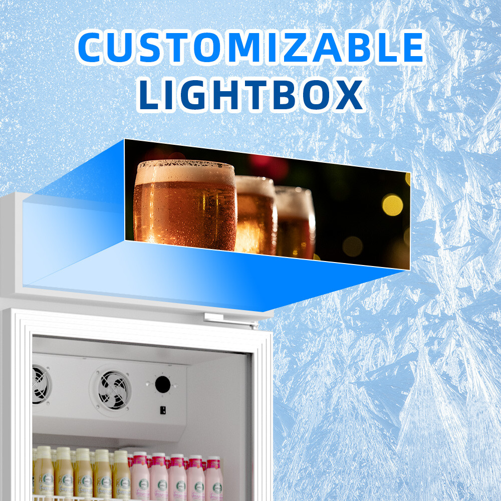 Merchandiser Refrigerator Upright Display Glass Door Cooler W/LED 17 Cu.Ft ETL