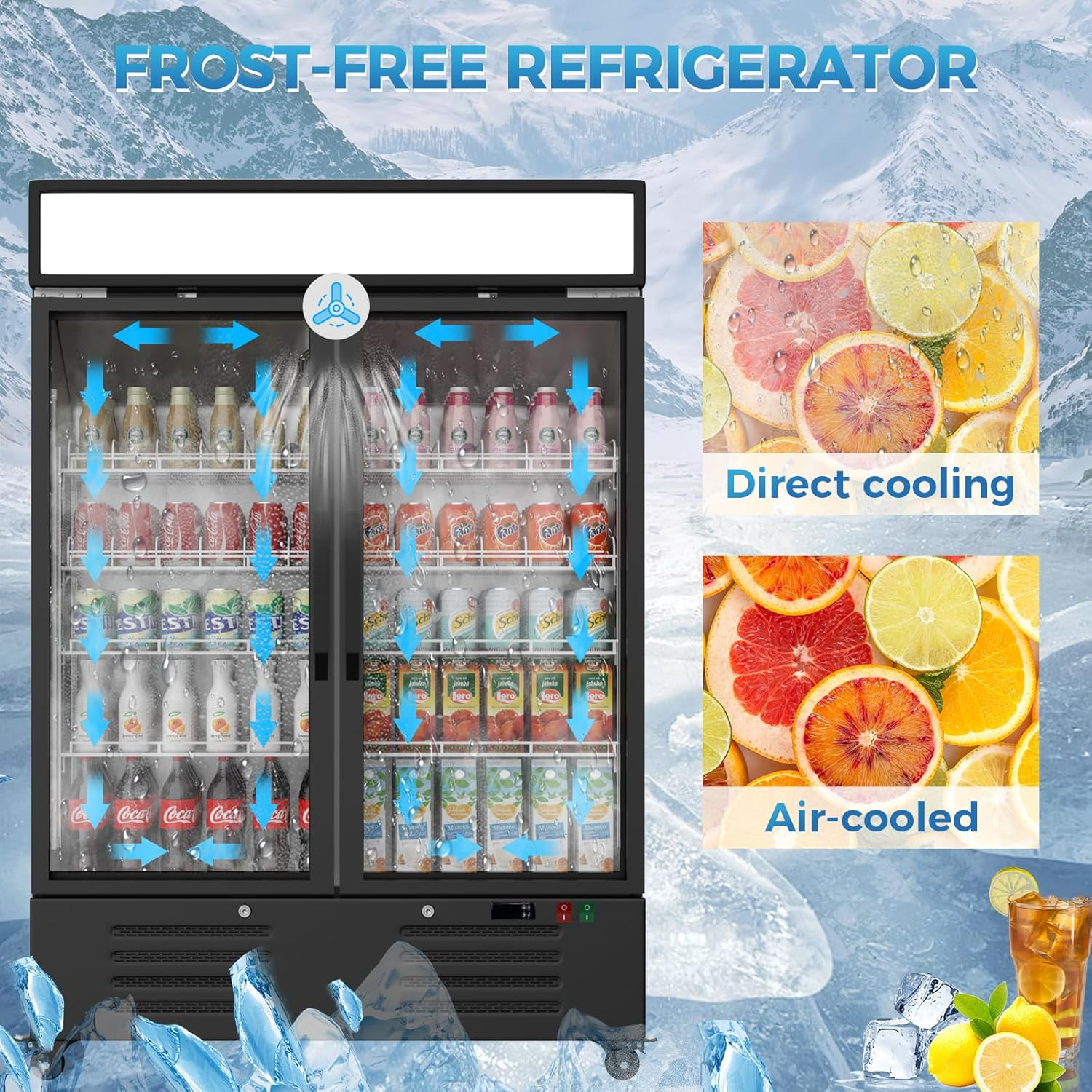 39″ Commercial Refrigerator 2 Glass Door Merchandiser Fridge Display Cooler New
