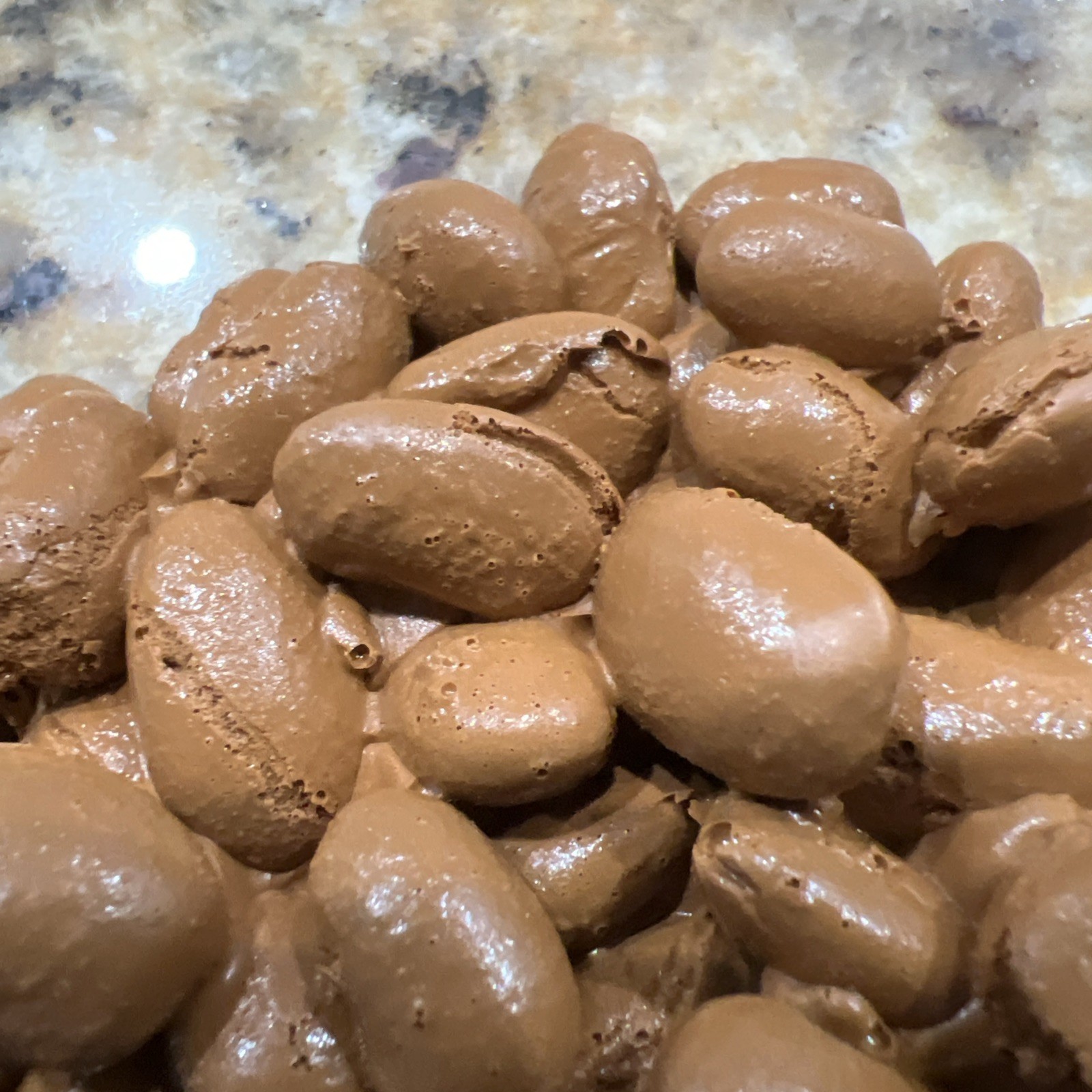 HEALTH EDCO FAUX FOOD LOOSE COFFEE BEANS EDUCATIONAL PROP DISPLAY FREE SHIP