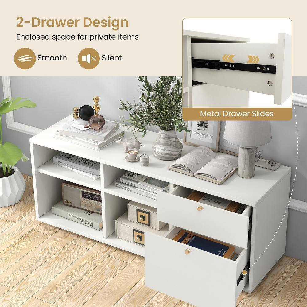 20 In. H Storage Cabinet with 2-Drawers 4-Cubes Adjustable Feet Floor Display Ca