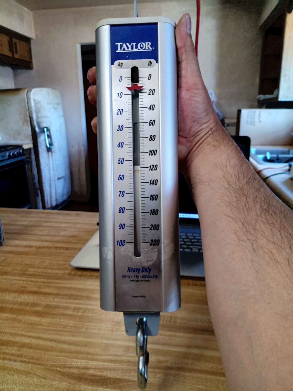 Taylor Industrial Use Hanging Scale 100 kg x 1 kg 220 lb x 2 lb Model #3322