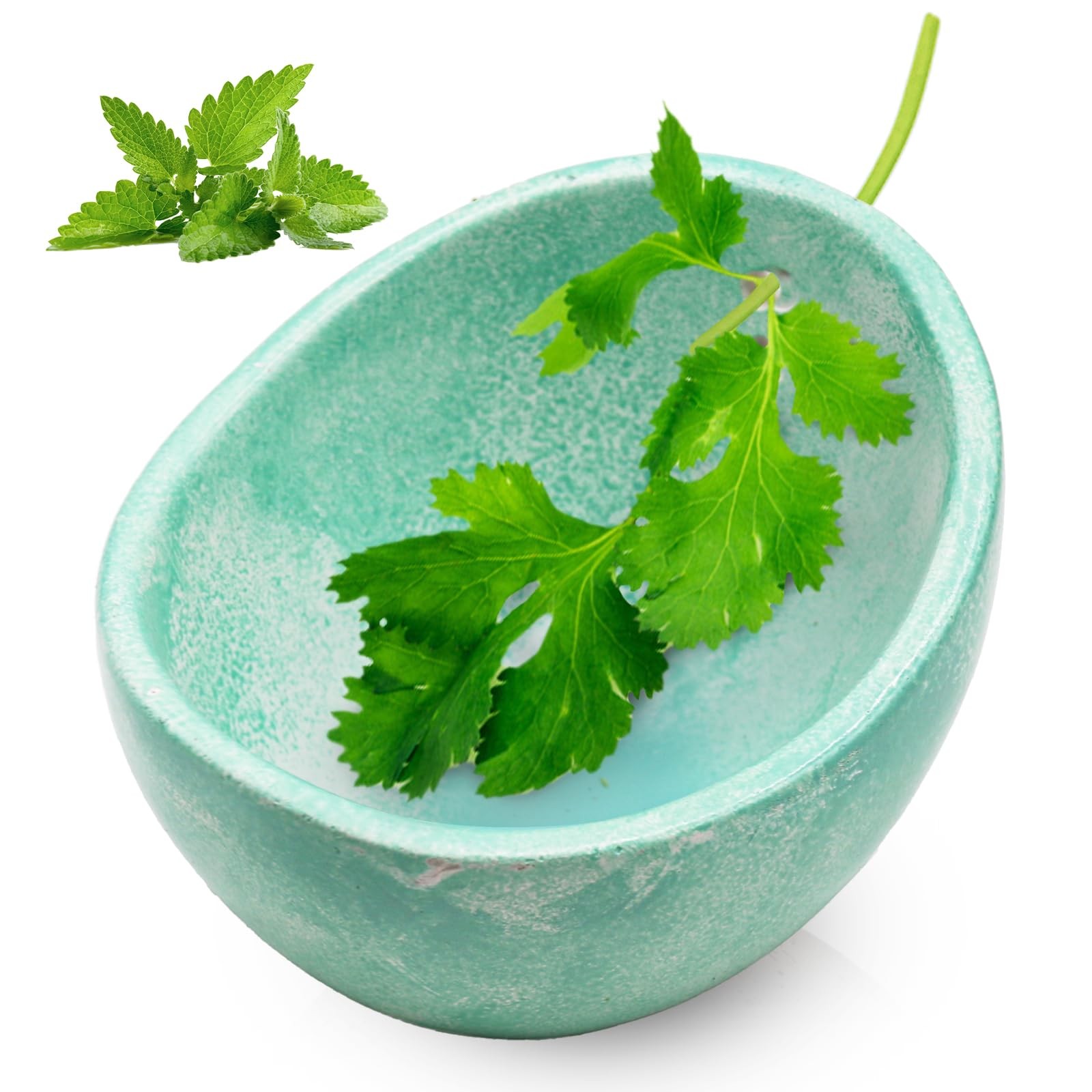 Rimigood Ceramic Herb Stripper Bowl with 4-Sized Holes for Stripping Herbs Leave