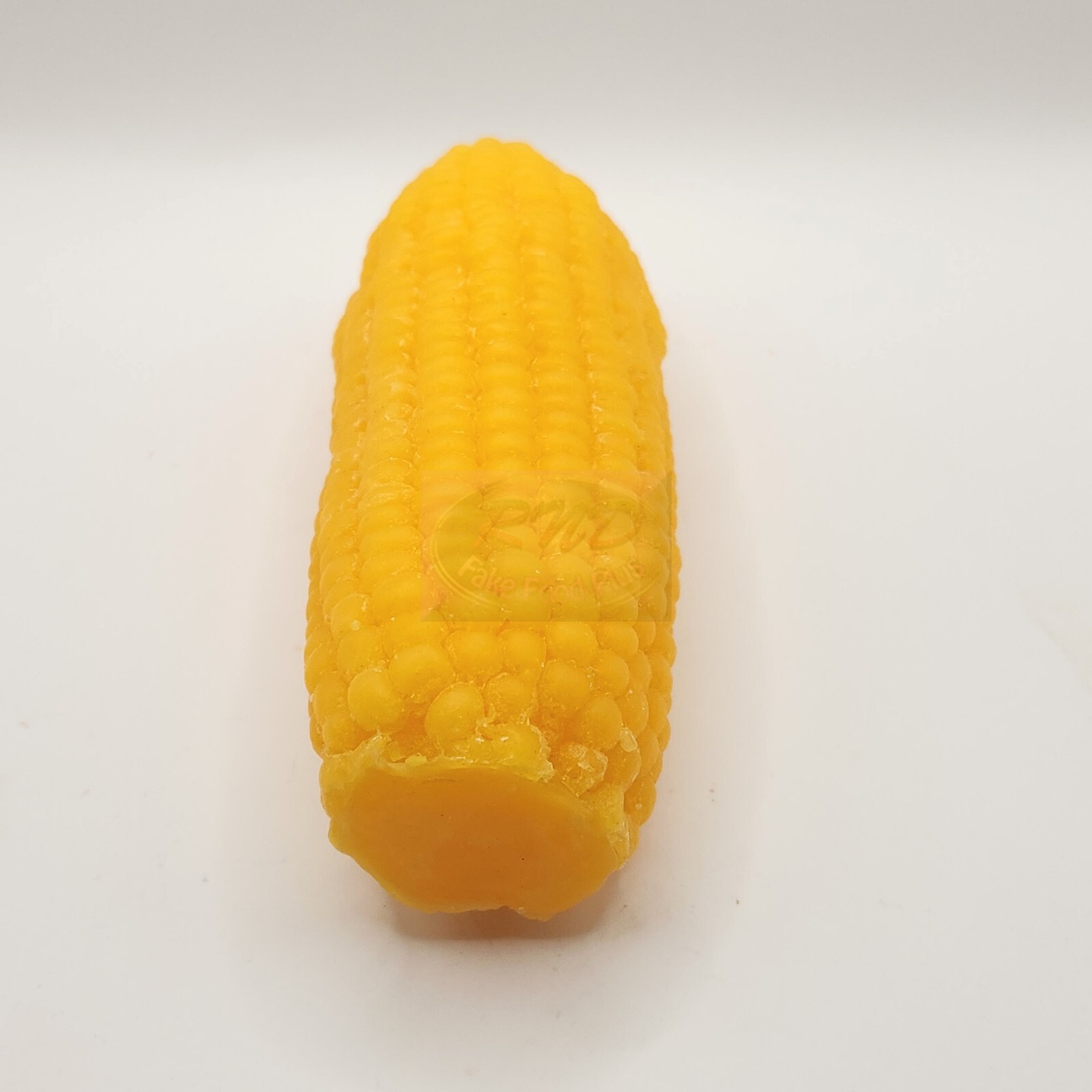 Full Size Corn on the Cob, Fake Food, Wax Prop, Display