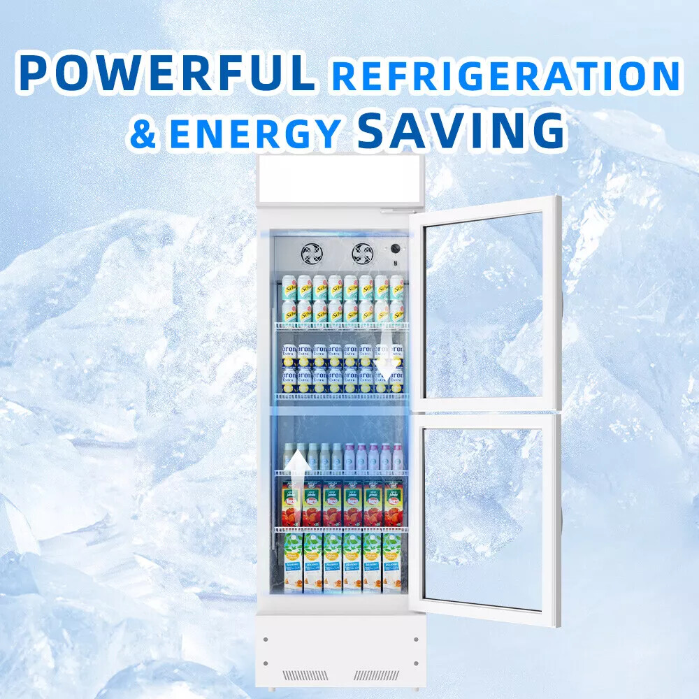 10.9 CU.FT. Commercial Beverage Display Refrigerator Cooler for Office Bar Gym