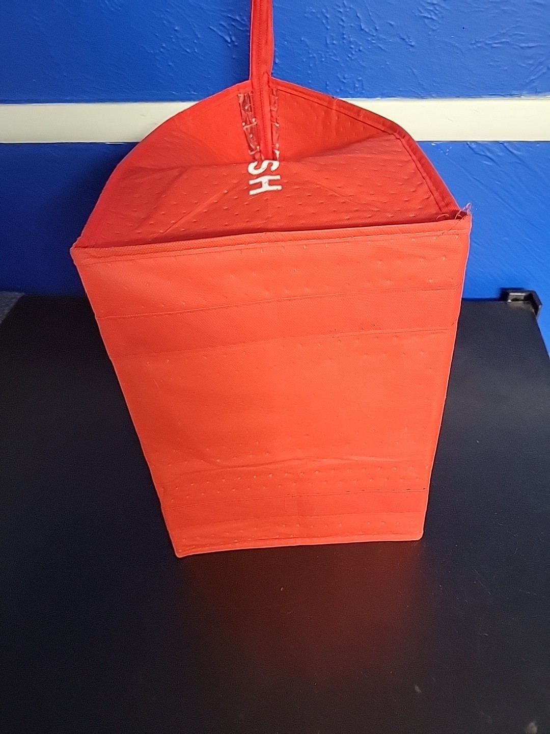 Insulated Doordash Food Delivery Bag 15×13 apx