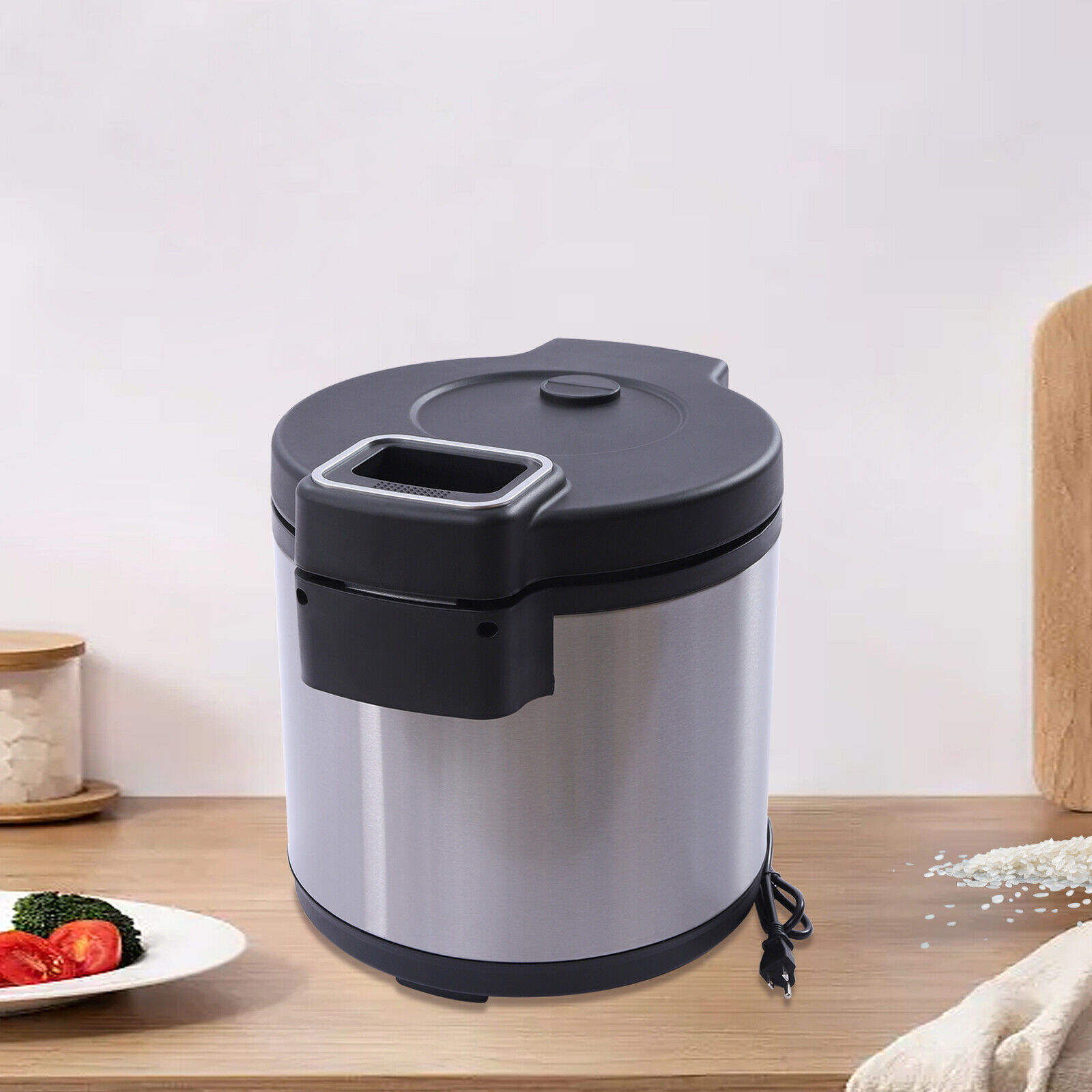 Modern 19L/20Qt Electric Rice Warmer Commercial Rice Warmer with Rice Scoop
