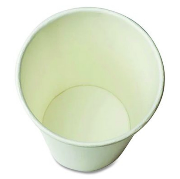 Karat C-KCP12W Double Poly Paper Cold Cups, 12 oz, White, 1,000/Carton