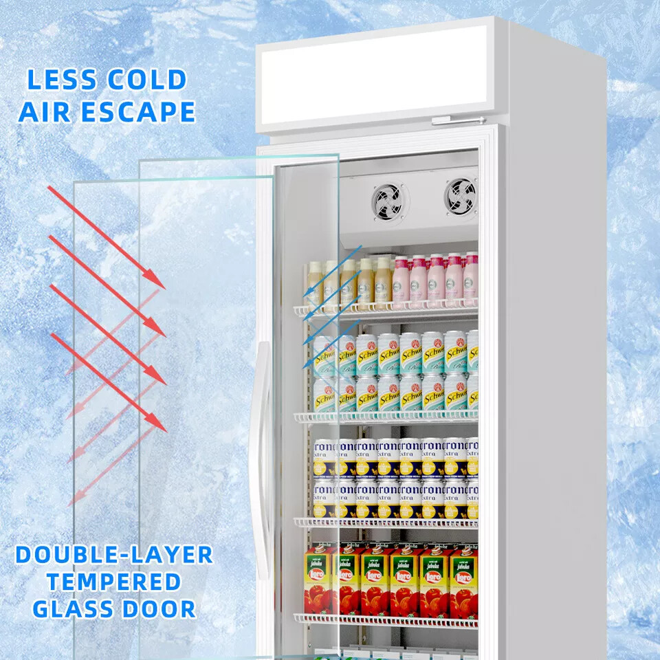 Commercial Merchandiser Refrigerator 16.5 CU.FT Glass Door Beverage Fridge ETL