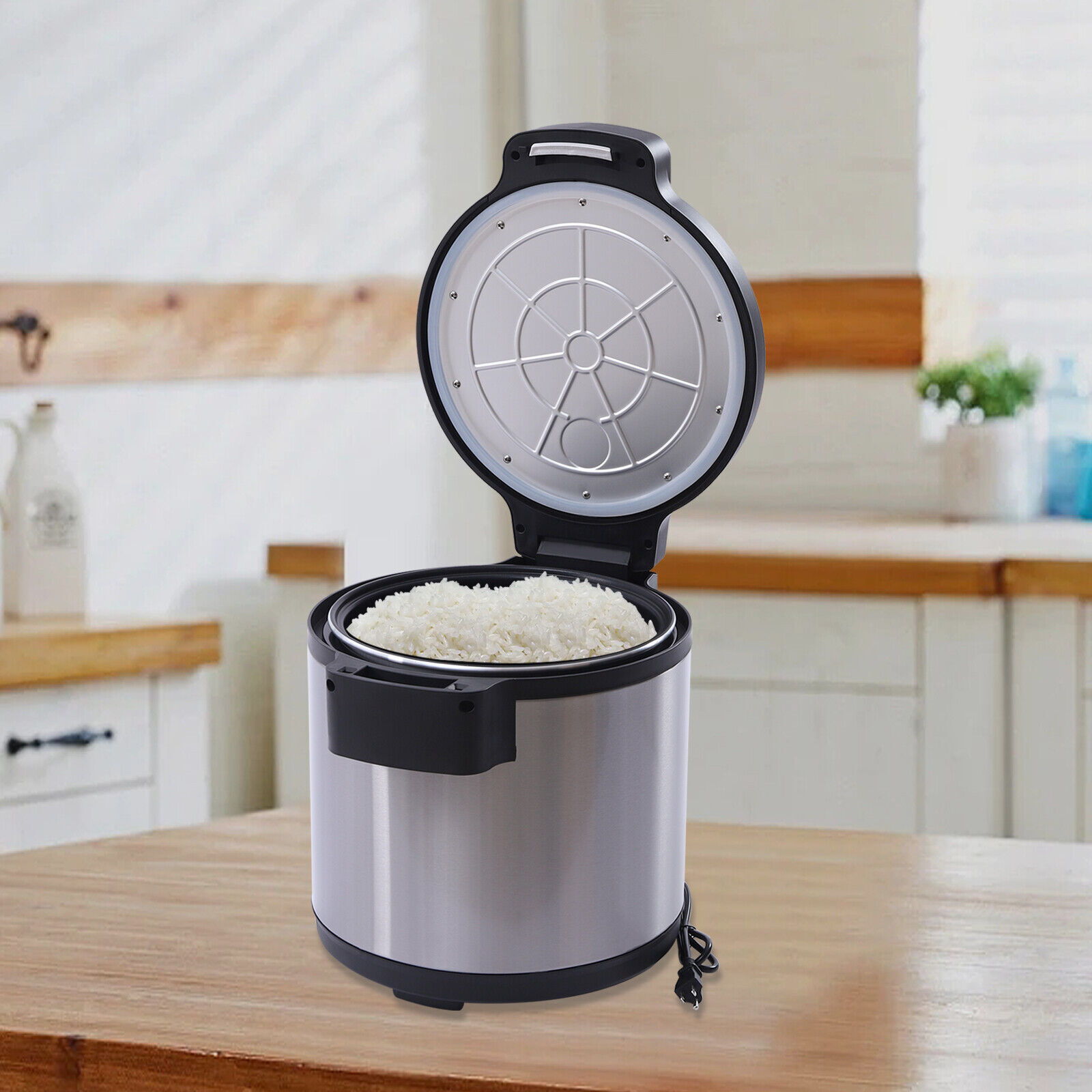 Modern 19L/20Qt Electric Rice Warmer Commercial Rice Warmer with Rice Scoop