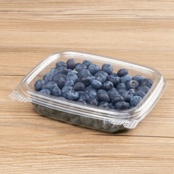 Karat 8oz PET Plastic Hinged Deli Container – 200 ct, FP-HDC8