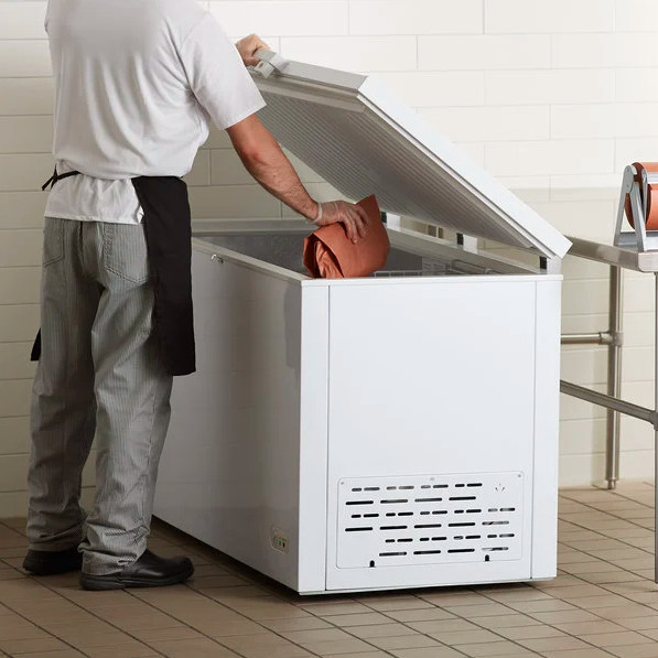 Long Large Commercial Industrial Solid Top Chest Freezer | Frozen Goods Business
