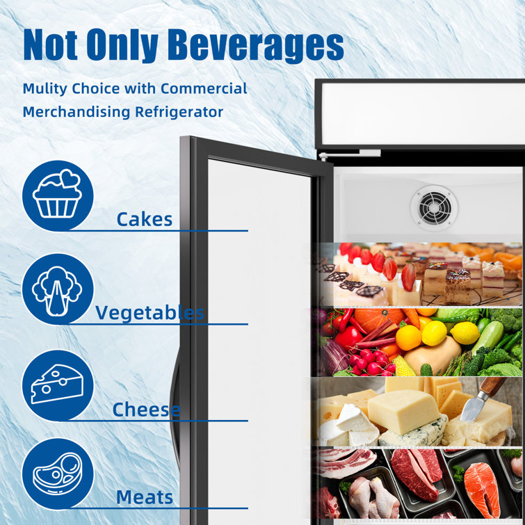 17 Cu. Ft Reach in Merchandiser Refrigerator Glass Door Cooler Display Beverage