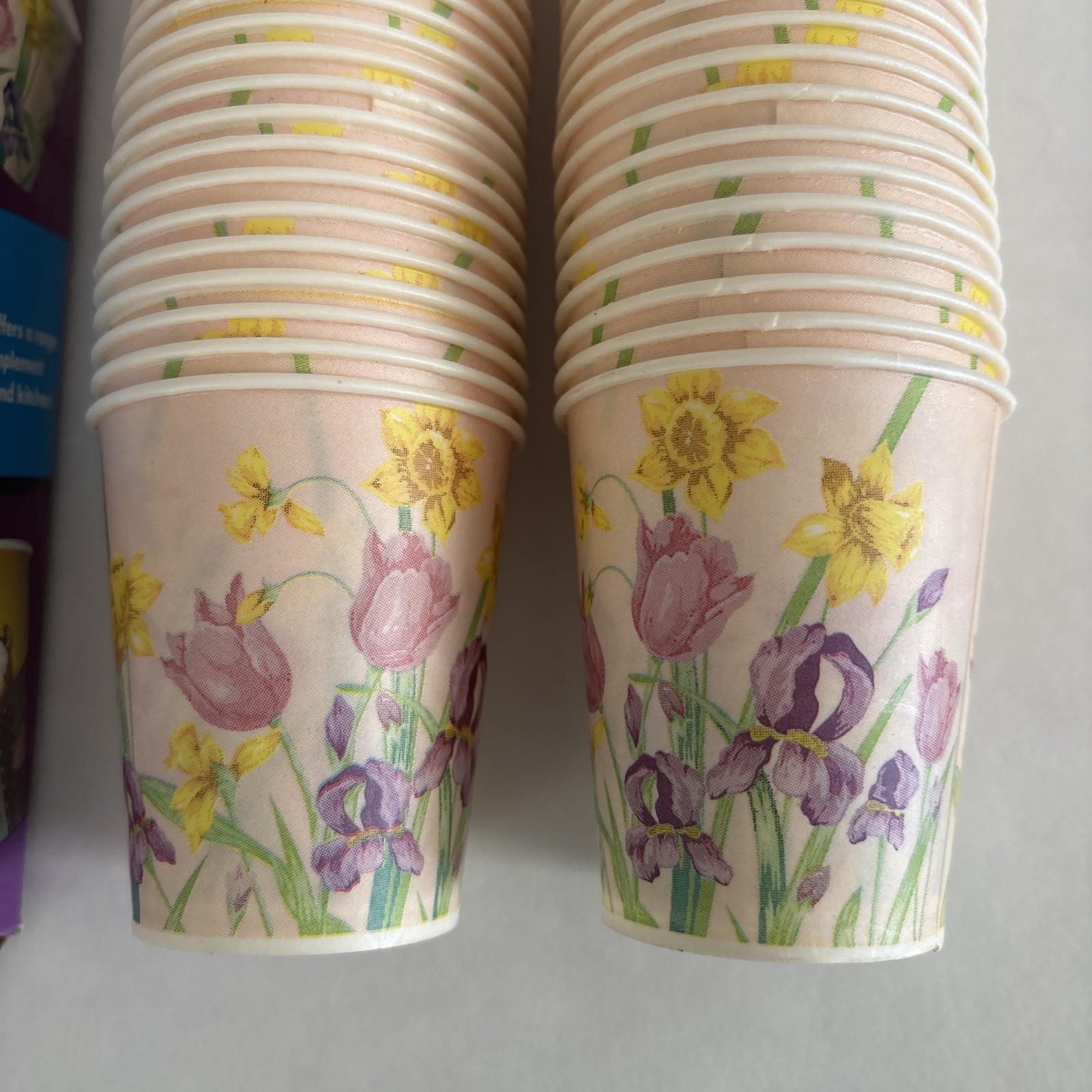 VTG Dixie Disposable Bathroom Cups 5 Oz Garden Party- 66 Cups Included