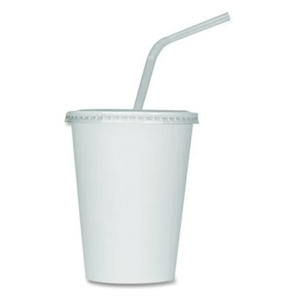 Karat C-KCP12W Double Poly Paper Cold Cups, 12 oz, White, 1,000/Carton