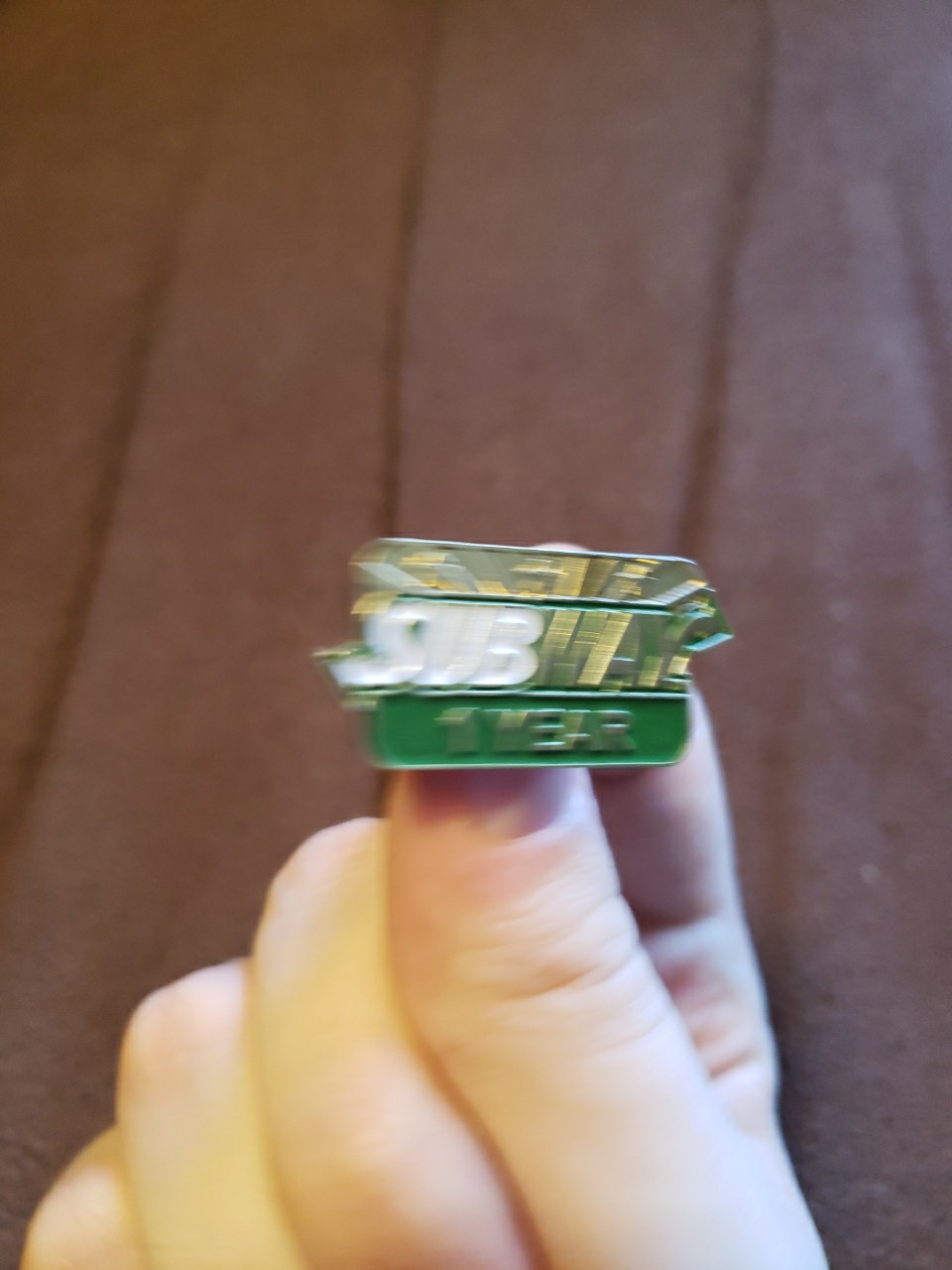 Subway Sandwich Restaurant Employee Service Award Pin 1 Year