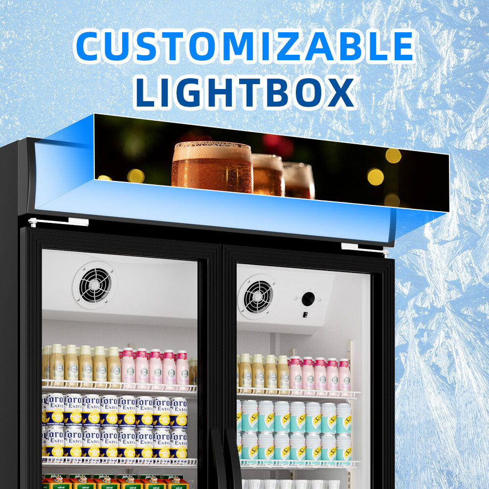 Merchandiser Refrigerator Glass Door Cooler Commercial Display Beverage 18Cu. Ft