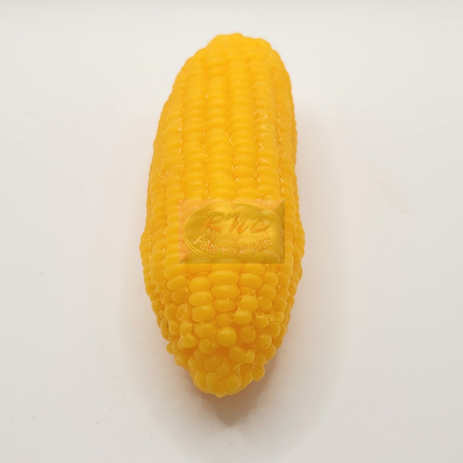 Full Size Corn on the Cob, Fake Food, Wax Prop, Display