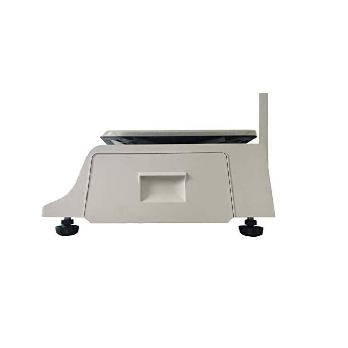 VisionTechShop DLP-300 Label Printing Scale Pole Display, 30/60lbs «Brand New»