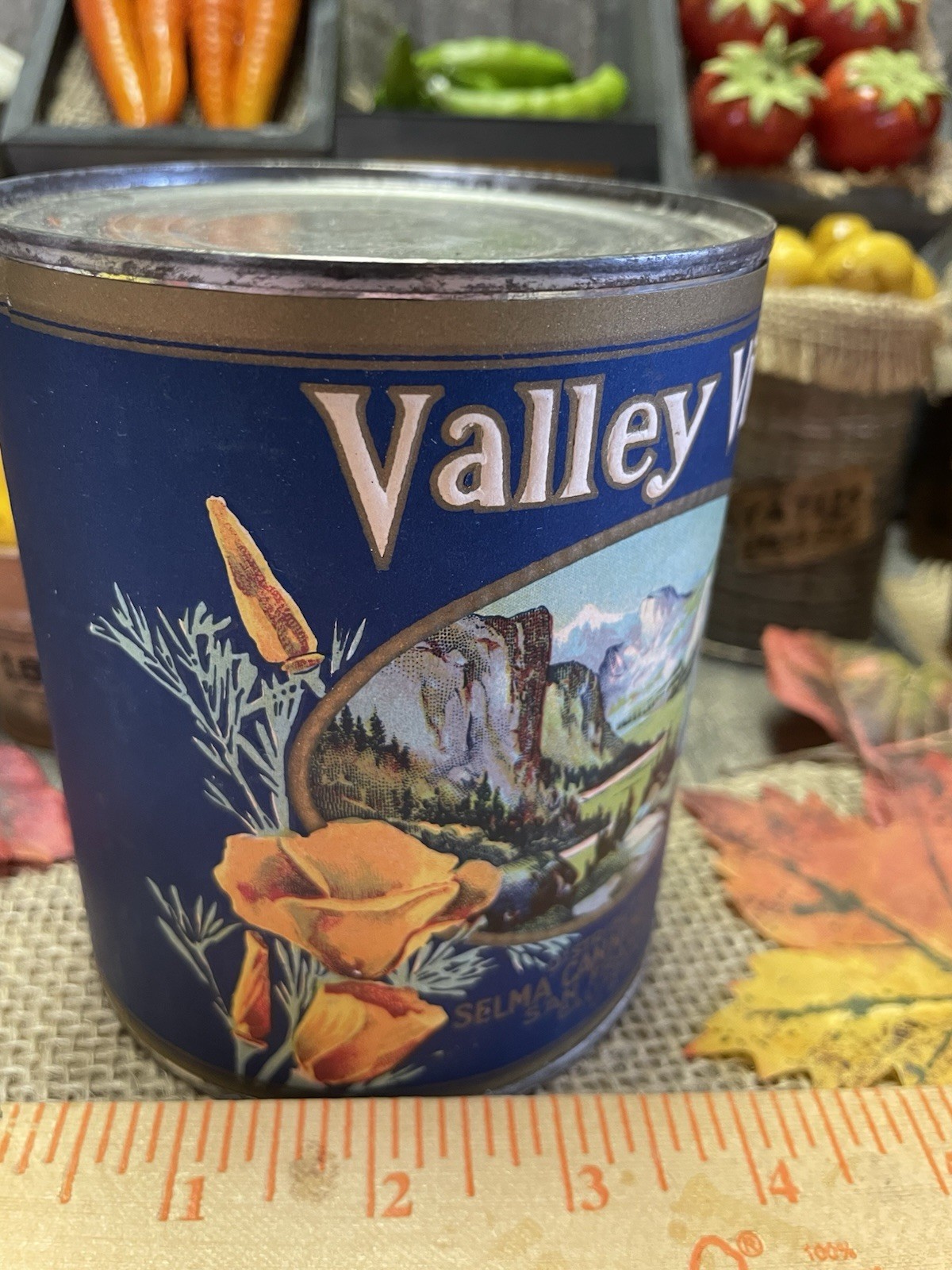 VTG VALLEY VIEW APRICOTS TIN CAN PRIMITIVE COUNTRY STORE DISPLAY FARMHOUSE PROP