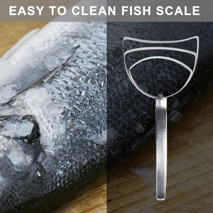 BOLEXINO Professional Square Stainless Steel Bone Dust 2 Pack, Sliver