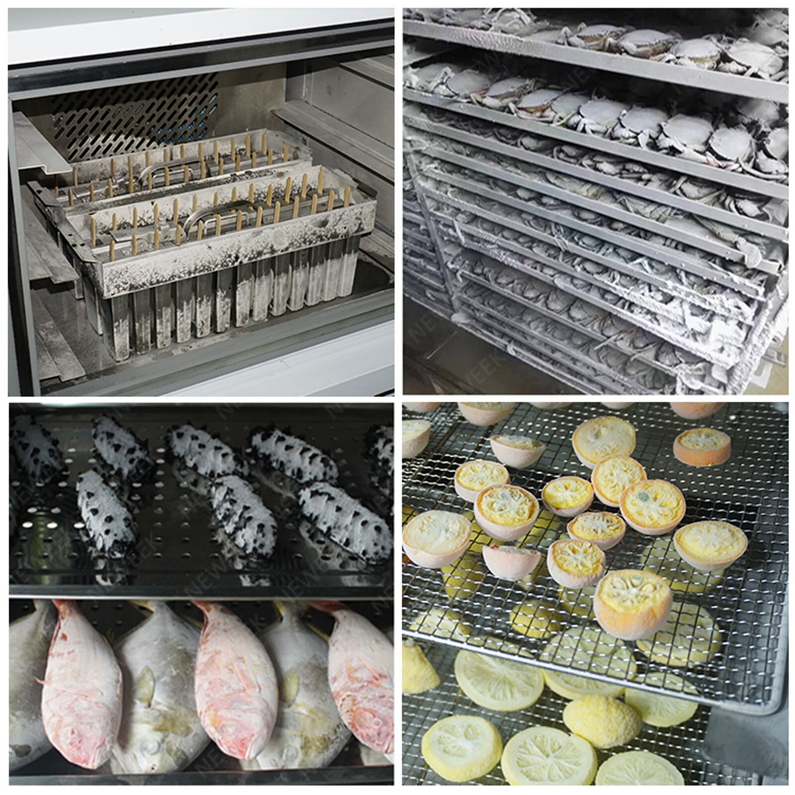 Kolice Commercial 5 Trays Blast Chiller Freezer for Restaurant, Bakeries, -40°F