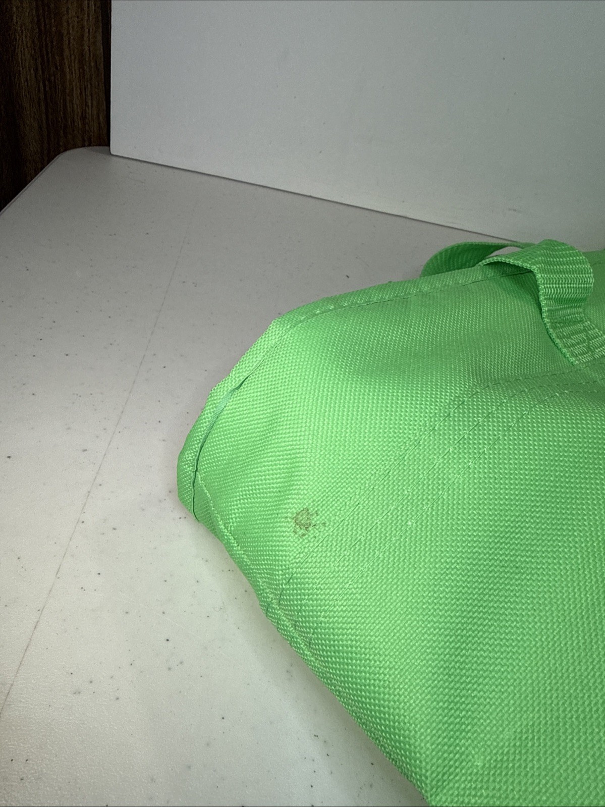Shipt Delivery Driver Green Insulated Cooler Bag 20” x 15” x 6” Used