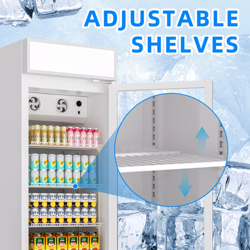Commercial Merchandiser Refrigerator 16.5 CU.FT Glass Door Beverage Fridge ETL