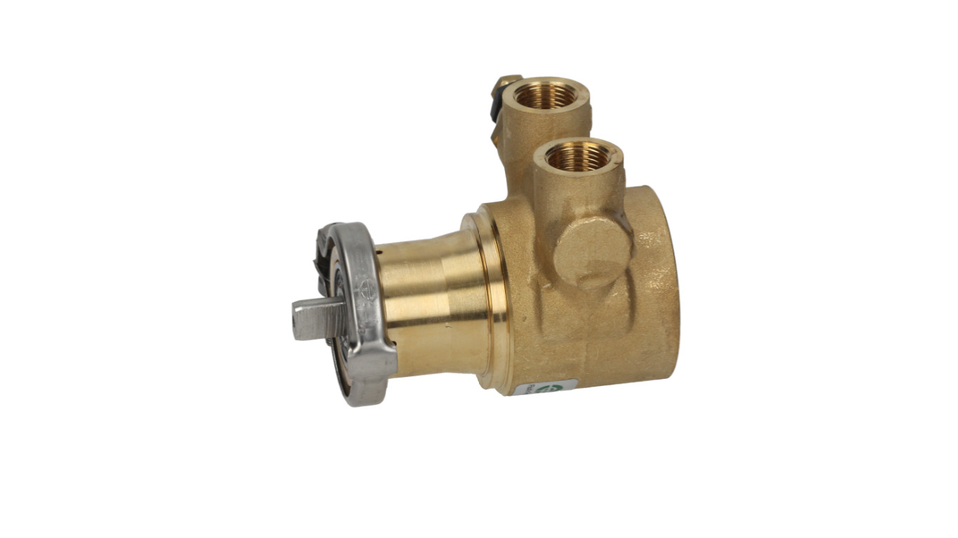Espresso Machine Rotoflow Rotary Vane Water Pump 3/8 BSP, Clamp, Flat Pin, NSF