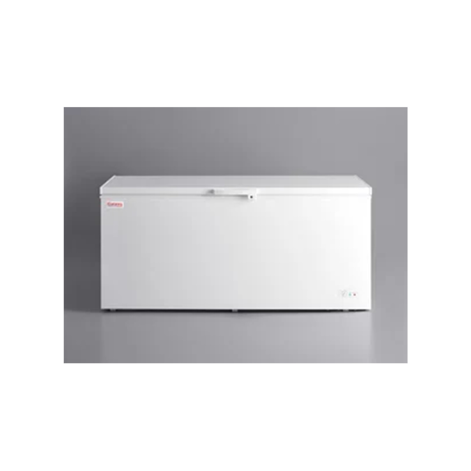 Long Large Commercial Industrial Solid Top Chest Freezer | Frozen Goods Business