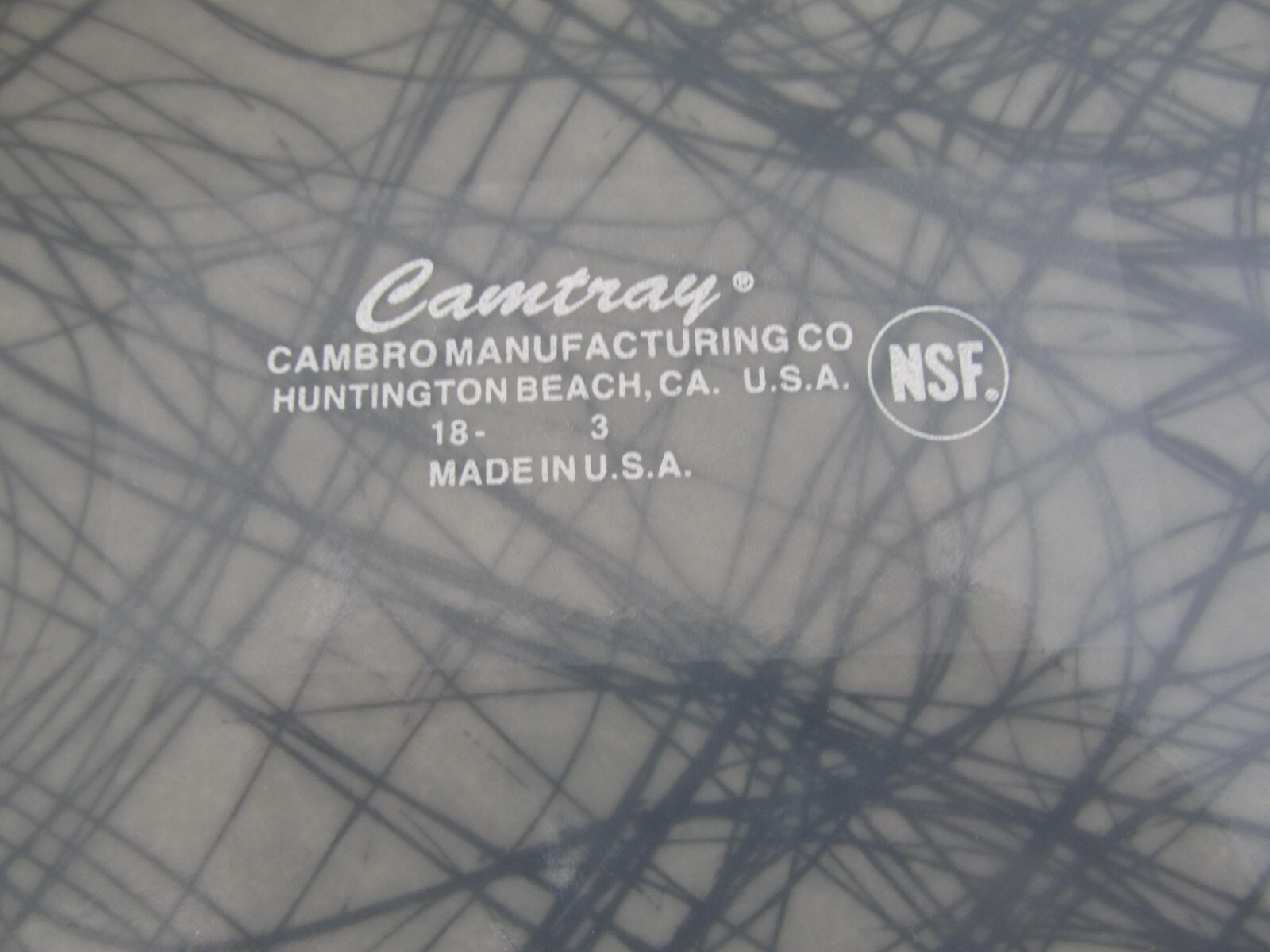 Cambro Camtray Campus Dining Rectangle Huntington Beach Ca USA Lunch Trays (12)