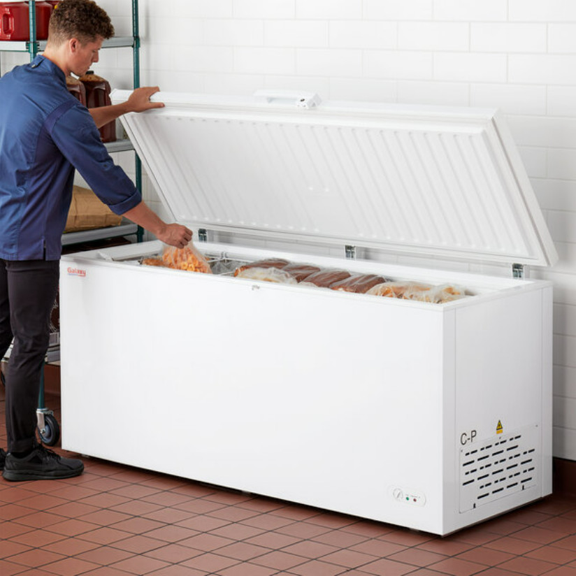 Long Large Commercial Industrial Solid Top Chest Freezer | Frozen Goods Business