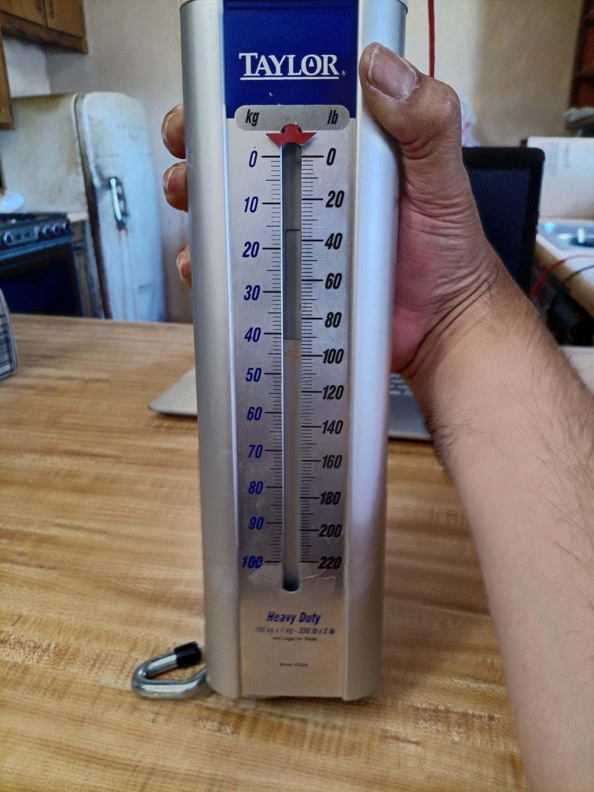 Taylor Industrial Use Hanging Scale 100 kg x 1 kg 220 lb x 2 lb Model #3322