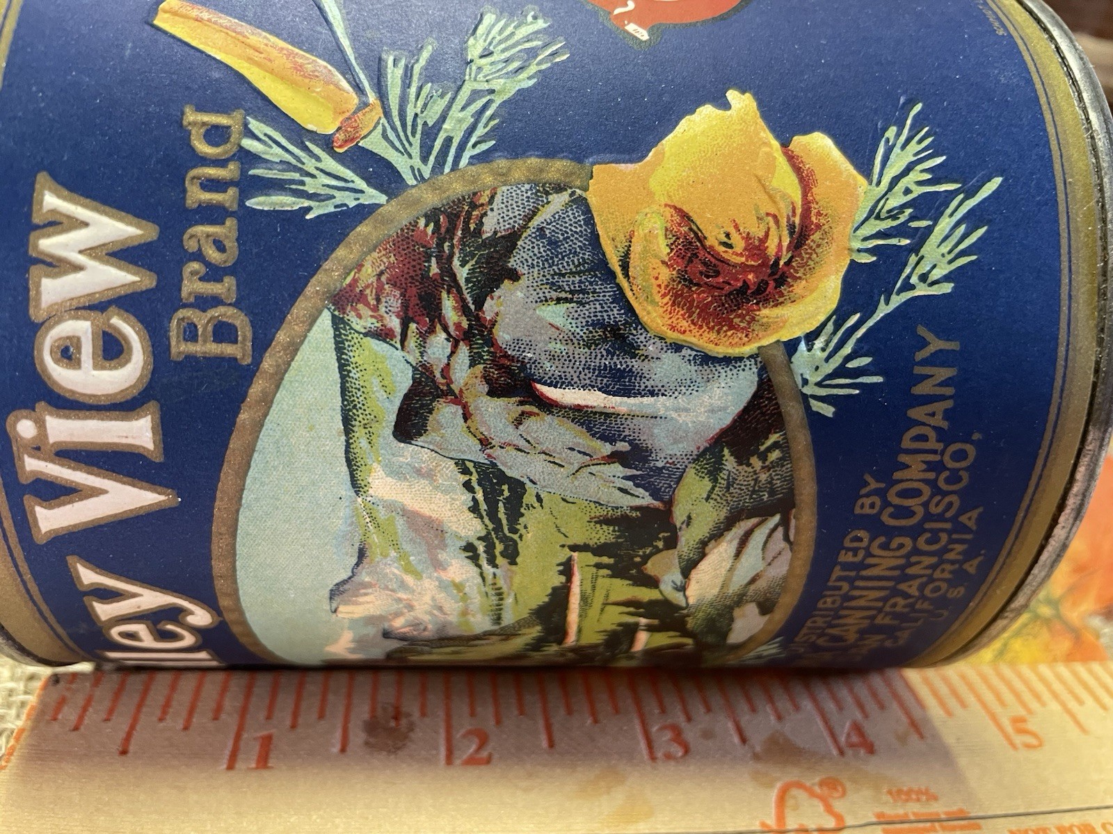 VTG VALLEY VIEW APRICOTS TIN CAN PRIMITIVE COUNTRY STORE DISPLAY FARMHOUSE PROP