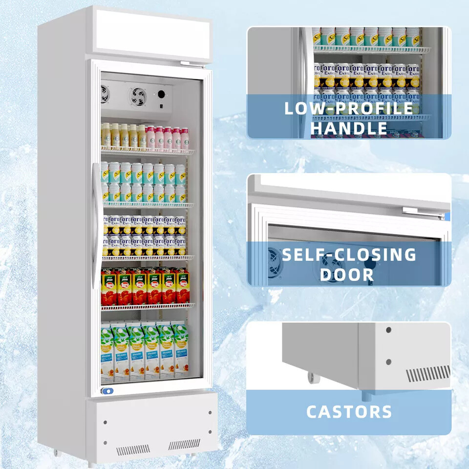 Commercial Merchandiser Refrigerator 16.5 CU.FT Glass Door Beverage Fridge ETL